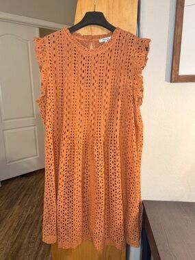 Madewell Eyelet Ruffle-Sleeve Pintuck Mini Dress in Mulled Cider, 100% Cotton.